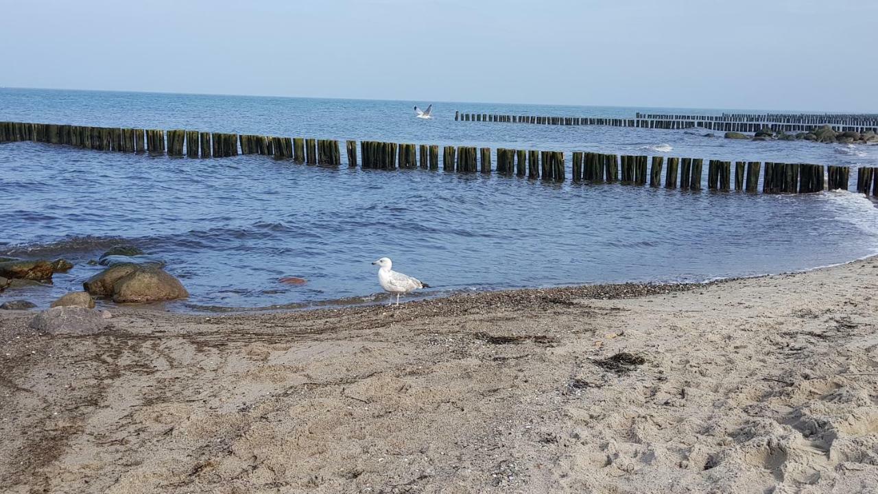 Fewo Valencia Am Rosenhof - 5 Sterne Dtv Ostseebad Kühlungsborn Exteriér fotografie